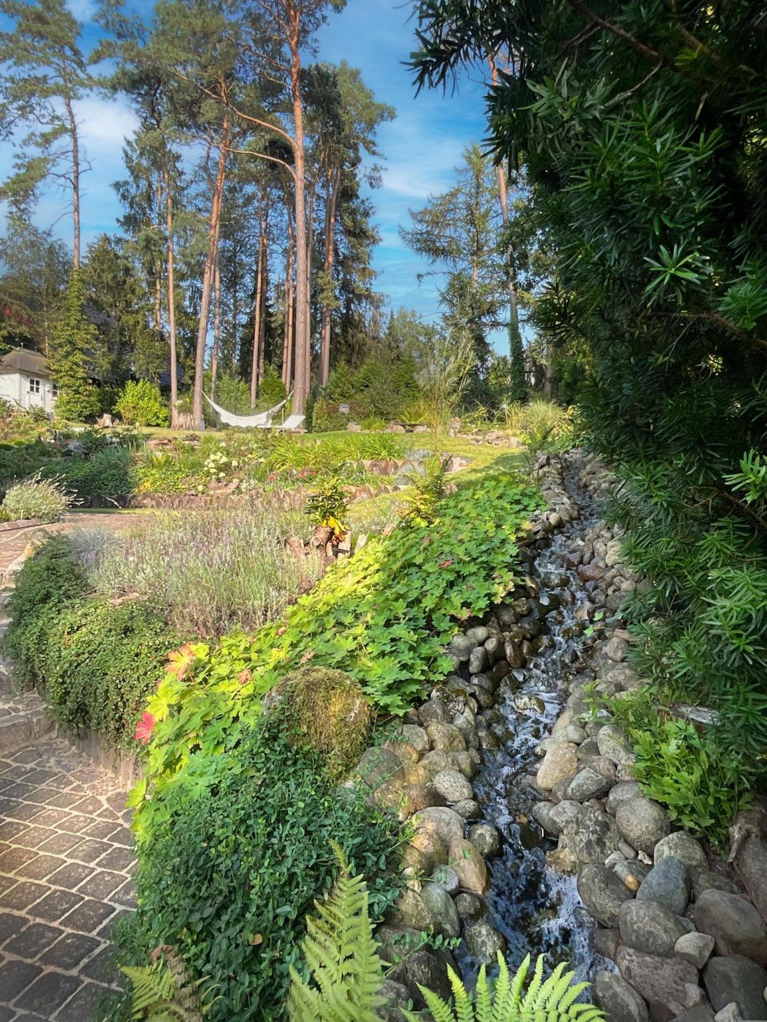 Heide Am Waldrand Buchholz in der Nordheide